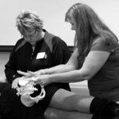 Upcoming Workshops - Doulaing the Doula | Doulaing the Doula