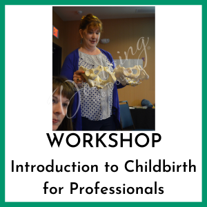 Introduction to Childbirth for Professionals Workshop - png