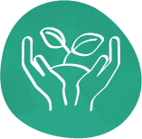 Postpartum Doula Certification Icon 3