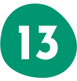 Step 13 Icon