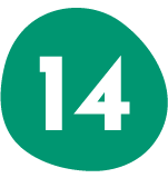 Step 14 Icon